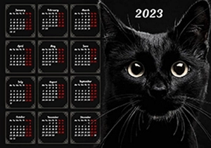 Top 5 ideas of customized photo calendars